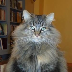 Meet your Posher, Sylvia